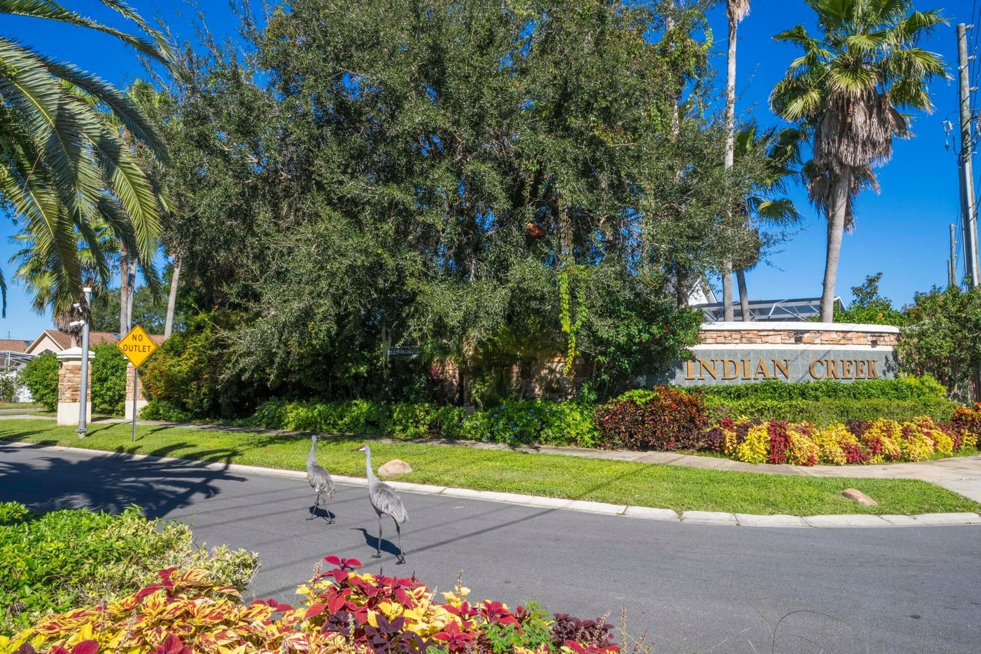 Magical 5-bedroom Retreat W/ Pool, 3 Ensuite Bedrooms, Near Disney, And Internet! Hébergement de vacances